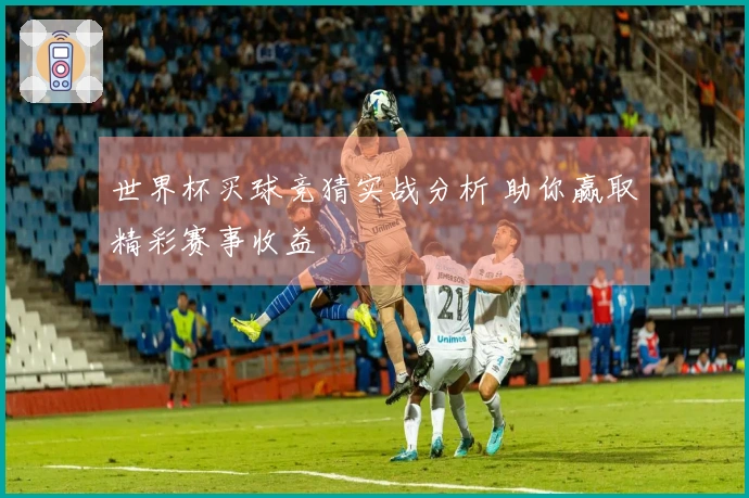 世界杯买球竞猜实战分析 助你赢取精彩赛事收益