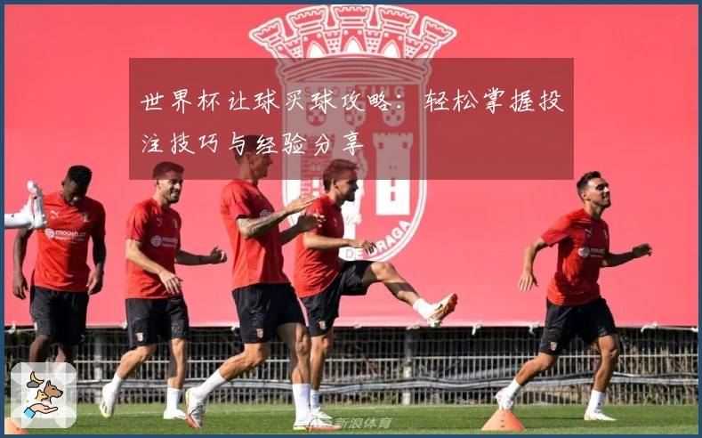 世界杯让球买球攻略：轻松掌握投注技巧与经验分享
