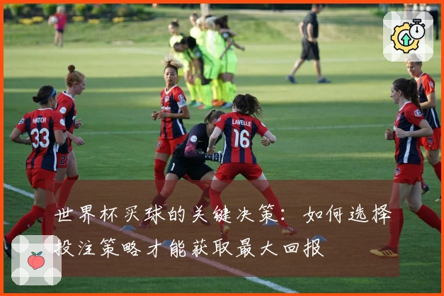 世界杯买球的关键决策：如何选择投注策略才能获取最大回报
