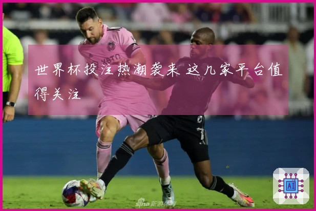 世界杯投注热潮袭来 这几家平台值得关注
