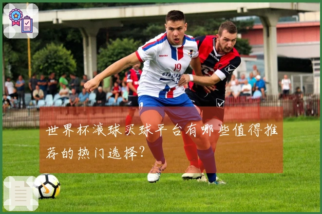 世界杯滚球买球平台有哪些值得推荐的热门选择？