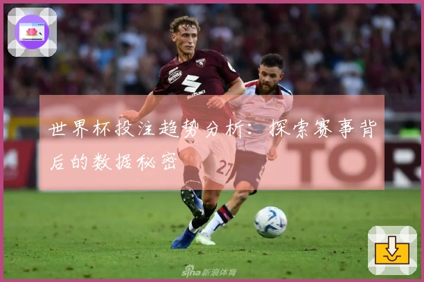 世界杯投注趋势分析：探索赛事背后的数据秘密