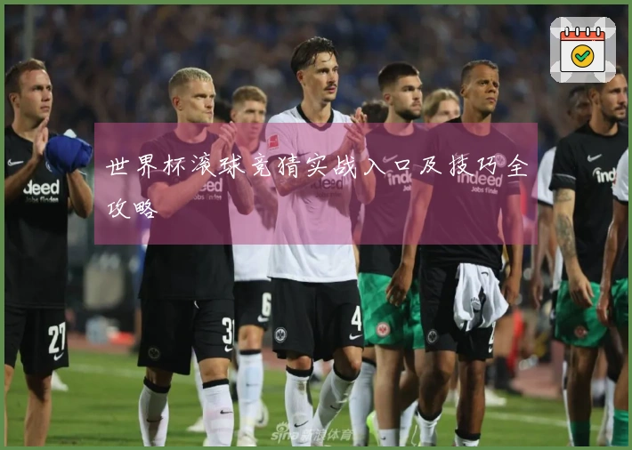 世界杯滚球竞猜实战入口及技巧全攻略