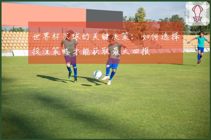 世界杯买球的关键决策：如何选择投注策略才能获取最大回报