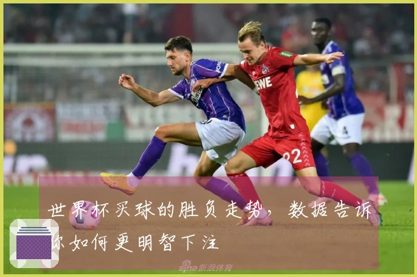 世界杯买球的胜负走势，数据告诉你如何更明智下注