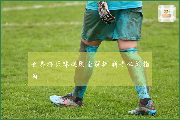 世界杯买球规则全解析 新手必读指南