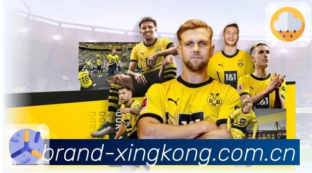 权威荣誉证书展示